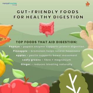 Nutrient-dense foods that support optimal gut health and digestion., AI generated