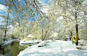 Der spreewald im winter ist die beste zeit, um die geheimnisvollen und sagenumwobenen „fließe in ruhe zu erkunden und die magie auf sich wirken zu lassen. Winter Im Spreewald Foto Bild Jahreszeiten Winter Natur Bilder Auf Fotocommunity
