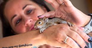 Hurricane Nicholas leaves behind a scurry of orphaned squirrels in  Galveston County