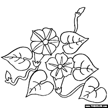 Flower Coloring Pages Color Flowers Online Page 2 Flower Coloring Pages Coloring Pages Flower Line Drawings