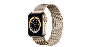 Help loved ones feel safe, healthy & connected wherever you are. Apple Watch Series 6 Gps Cellular 40mm Gold Stainless Steel Case With Gold Milanese Loop Apple