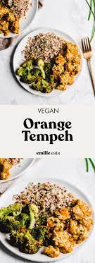 Orange Tempeh Emilie Eats Recipe Vegetarian Recipes Healthy Tempeh Recipes Vegetarian Recipes