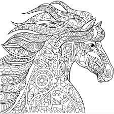 Pin On Zentangle Coloring Pages For Adults