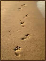 Self Portraits On The Beach Sand Footprint Footprint Sand