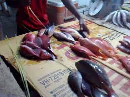 عجايب الخالة خزيمه 1 Youtube