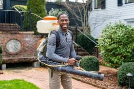 We did not find results for: Tdi Services 273 Production Ave Madison Al Pest Control Mapquest