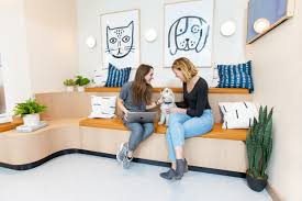 While procedures are performed by students, they are supervised by a. A New Kind Of Vet Clinic Animal Hospital In Nyc Bond Vet