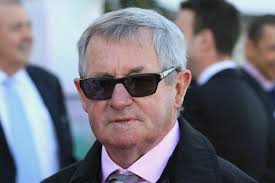 P T Hyland Horse Trainer Profile