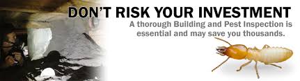 Quickly access information about 4 building inspectors near you! Building Pest Inspections Gold Coast Tweed Heads Pre Purchase Pest Inspection