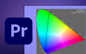 Aktiviere das kontrollkästchen „umgekehrt, um maskierte und nicht maskierte bereiche auszutauschen. Adobe Premiere Pro User Guide