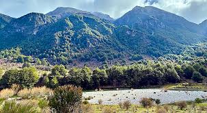 Dream bailey real name learn about their journey from being