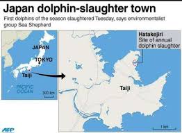 We did not find results for: Season S First Dolphins Killed In Japan Say Activists
