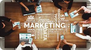 Digital Marketing Agencies in Vaughan 2025