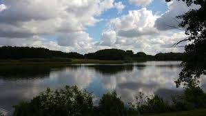 Obersee Johannisbachtalsperre Outdoor 123 Photo Water