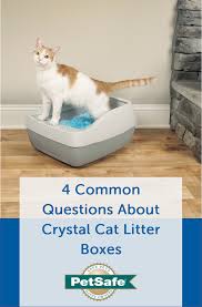 4 Common Questions About Crystal Cat Litter Boxes Including The Difference Between Amorphous Silica Gel And Crystalline S Cat Litter Cat Litter Box Litter Box