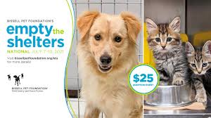 Search for the section named caring neighbor and select save the animals foundation from the drop down menu. Sierra S Haven For New And Used Pets Home Facebook