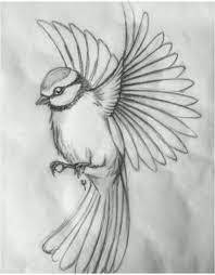 40 free easy animal sketch zeichnen von informationen und ideen tiere blog zeichenideen drawingideasanimals fly drawing animal sketches bird drawings