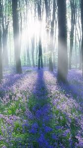 The Wonders Of Mother Nature Part 5 Take A Quick Break Nature Photography Beautiful Nature Nature