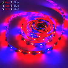 These grow lights were only effective for growing very simple plants like sprouts but failed to grow larger plants. Led Grow Light Full Spectrum Usb Grow Light Strip 0 5m 1m 2m 3m 2835 Chip Led Phyto Lamp Plants Flowers Greenhouse Hydroponic Growing Lamps Aliexpress