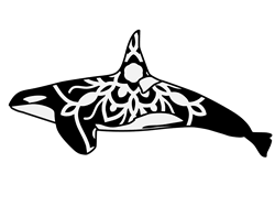 Download Orca Svg Files Svgdesigns Com