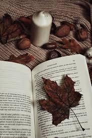 The site owner hides the web page description. Autumn Book Instagram Book Photography Books