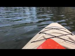 Stone Mountain Crappie