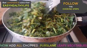 Add more dressing if necessary. Purslane Plant Verdolagas Chutney Recipes How To Cook Purslane Weed Youtube