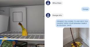 And never be humorous at the expense of others. This Guy Takes A Knock Knock Joke To The Next Level By Kidnapping Friend S Banana Family Bored Panda