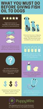 Best Fish Oil For Dogs Top 5 Comparison W Reviews Dog