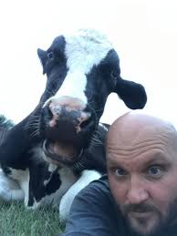 Ima Survivor Donkey and Farm Animal Sanctuary