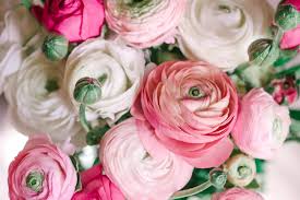 From traditional white to crystal blush and deep plum, wine and mulberry. 10 Most Popular Wedding Flowers In The World 10 Most Today