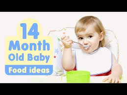 14 Months Old Baby Food Ideas Along With Recipes