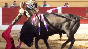 Doce toreros de Valladolid: Manolo Sánchez