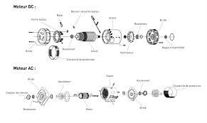 These are the field and the armature circuits. Electric Motors And Parts Tvh Parts