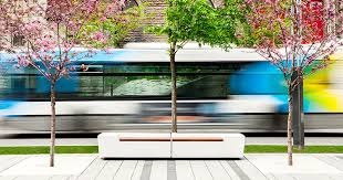 Il contributo delle donne nell'architettura contemporanea: l'esempio ...