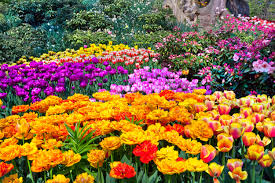 Where to get cheap flowers for garden. 11 Cheap Ways To Transform Your Garden Into A Heavenly Haven Chadwicks Building Plumbing Hire Diy