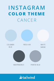 Do zodiac signs have colors? The Best Instagram Color Themes For Your Zodiac Sign