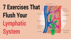 7 Exercises That Flush Your Lymphatic System Lymphatic System Detox Lymphatic System Flush Lymphatic System