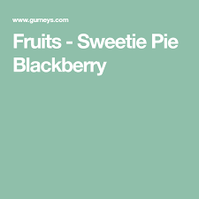 Garybeaumont december 22, 2017, 9:49pm #16. Sweetie Pie Blackberry Gurney S Seed Nursery Co Sweetie Pie Sweetie Blackberry