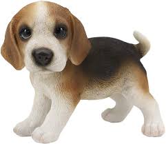 Wonderful coloring pages will help you with this. Amazon Com Ebros Realistic Adorable Tri Color Beagle Dog Puppy Figurine 5 75 Long Beagles Dogs Puppies Pet Memorial Collectible Decor Statue With Glass Eyes Home Kitchen