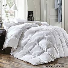 Amazon Com Three Geese Luxury Queen Size White Goose Down Feather Comforter Duvet Insert Goose Down All Seas Duvet Comforters Down Comforter Feather Comforter