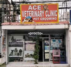 Doctors at healserv not just medicate them with medicines they also treat them with love, affections and care. Vet Clinic Near Me Online Shopping