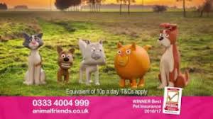 Through animal friends insurance, all dog and cat customers get instant access to qualified vets through the joii app. Animal Friends Pet Insurance Oodles Of Poodles Advert Youtube