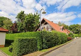 Sehr moderne, saubere und großzügige wohnung mit einer perfekt ausgestatteten küche. Roebel Mueritz See 1 Wohnung Robel