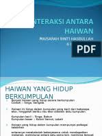 Plans range from 26.99 tl to 54.99 tl a month. Edu Joshuatly Com Kamus Dewan Pdf A Z