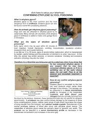 Signs of antifreeze poisoning in cats appear between 30 minutes and eight hours after ingestion. Confirming Ethylene Glycol Poisoning