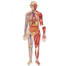 Related image