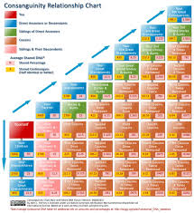 Consanguinity Relationship Chart How Much Dna Do You Share