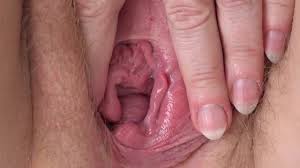 Vagina mojada y clítoris erecto en primer plano. Milf regordeta en  pantimedias de nylon masturba su coño peludo. Fetiche casero. ver en línea