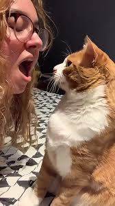 Cats Taking Your Breath